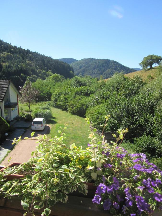 Schwabenhof Schramberg