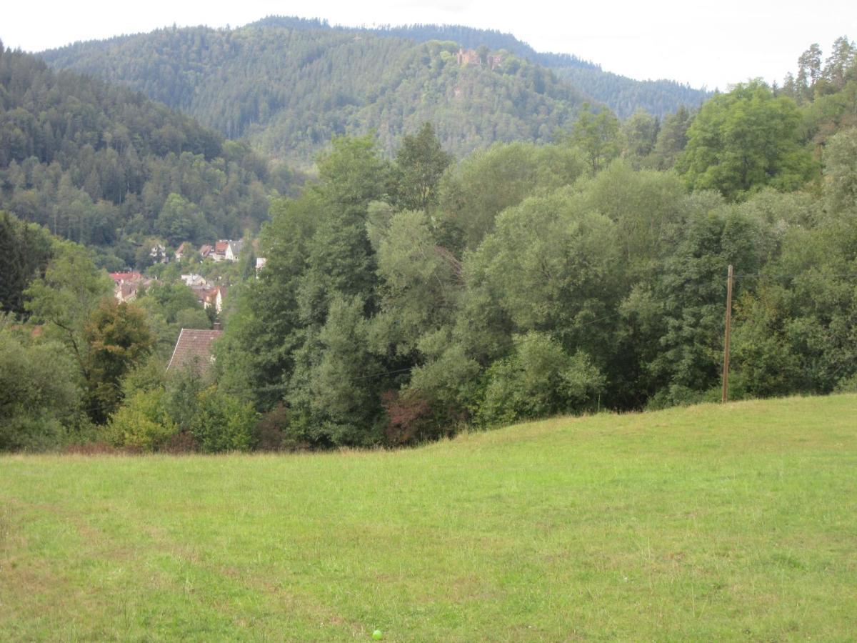Schwabenhof * Schramberg